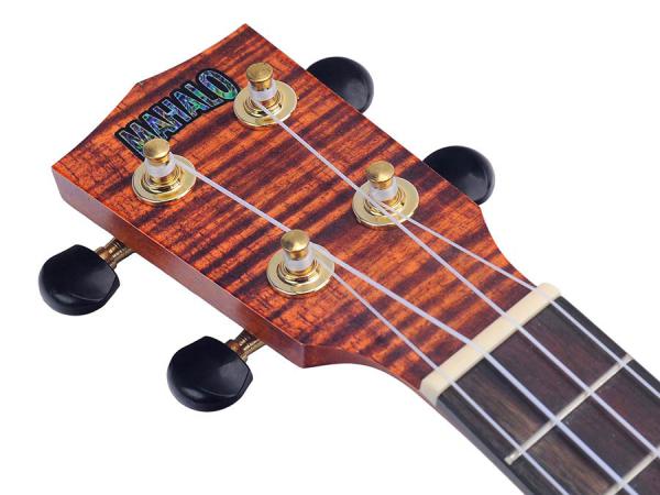 ukulele